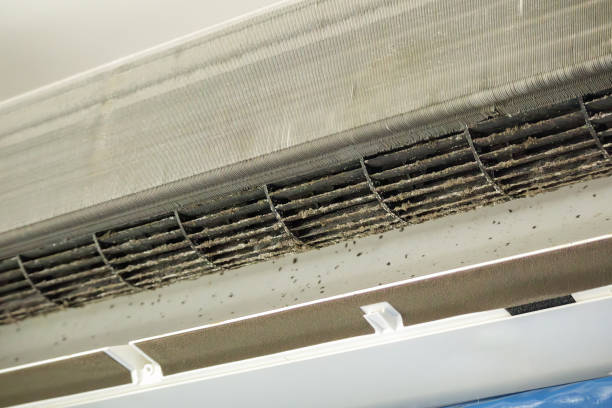 Best Residential Air Duct Cleaning  in Platte City, MO
